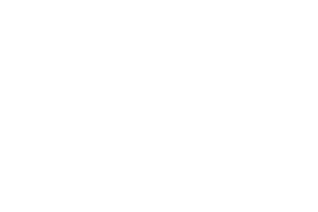 Netscape